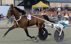 Resultat: (0) Intjänat: 98 kr Tränare: Daniel Redén Körsven: Örjan Kihlström Ägare: Stall Zet (Daniel Redén), Sverige Uppfödare: Erikssunds Trotting AB,