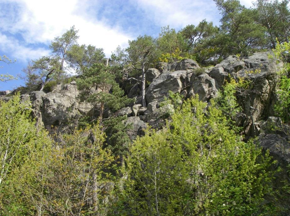 Bilaga 4:7 Block och sten på sluttningarna längs berget längs den norra