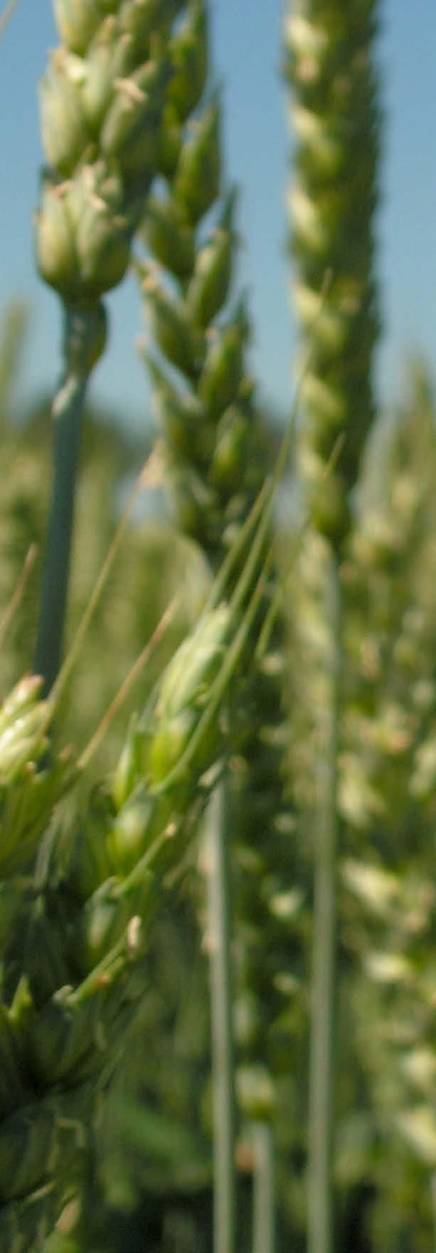 Gödslingsguiden Jord och gödsling Gödslingsguiden ger insikter om: De essentiella näringsämnena; såväl makro- som mikronäringsämnen.