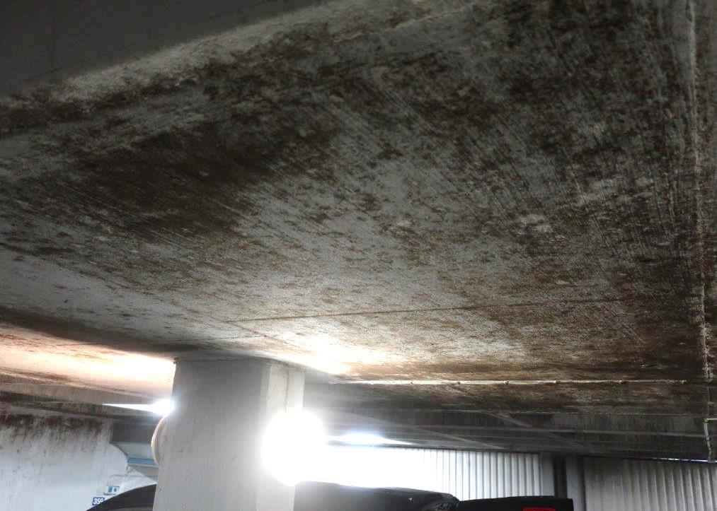 I och med att ena sidan av väggarna är torr och den andra fuktig strävar betongen efter att fuktutjämna sig, vilket innebär att det sker fuktvandring i betongen.