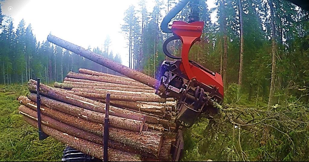 Figur 18. Upparbetning högt upp i lasset kräver att stammarna lutas. I det här fallet lutar stammen ungefär 25 grader mot marken.