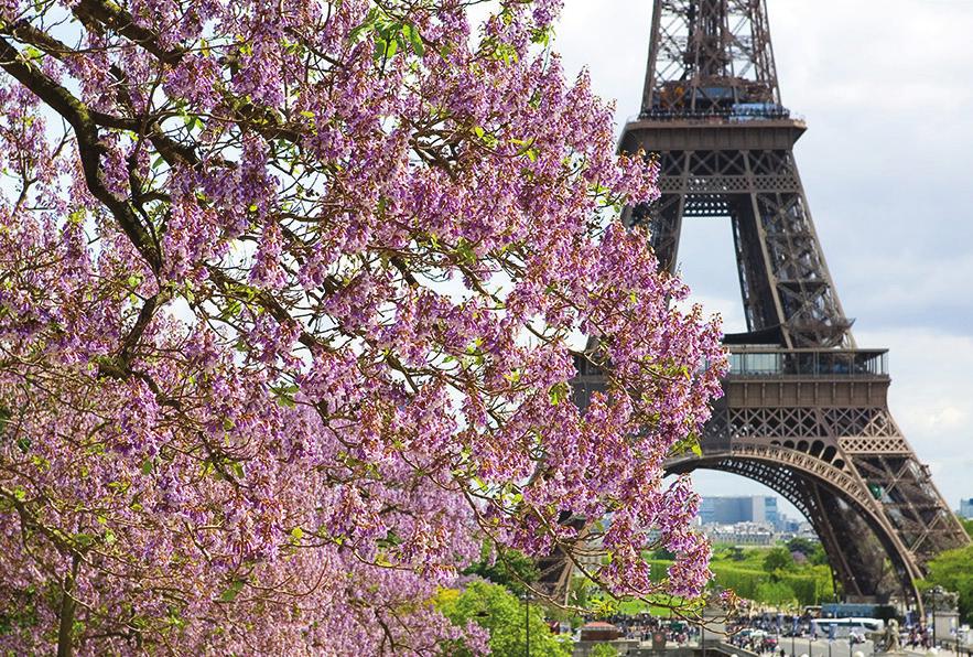 DAGSPROGRAM Dag 1 29 april Avresa till Paris Flyget avgår under morgontimmarna och efter ankomst till Paris är det dags att åka till Seines flodbank för ombordstigning på vår flodkryssare Amadeus