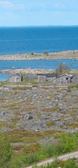 Detta behövs! Genomtänkt planering i stället för adad-hocmässig utbyggnad. Regionala underlag som stöd för den den kommunala översiktsplaneringen.