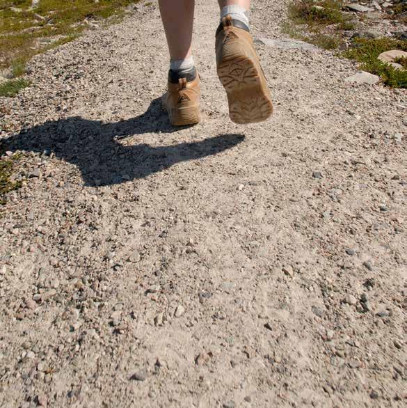 Pilgrimsvandring Bredared Hedared 13 augusti klockan 9.00 Följ med oss på en vandring i sensommarens grönska mellan Bredared och Hedared. Vandringen blir cirka 13 kilometer.