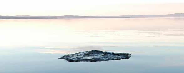 Smultronen mognar och det är lätt att låta några slinka in i munnen när man går förbi de röda tuvorna.