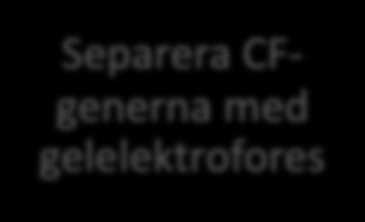 Separera CFgenerna med