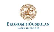 Magisteruppsats FEK 591 VT 2007 Förväntningsgapet Hur väl lever revisionen upp till de institutionella