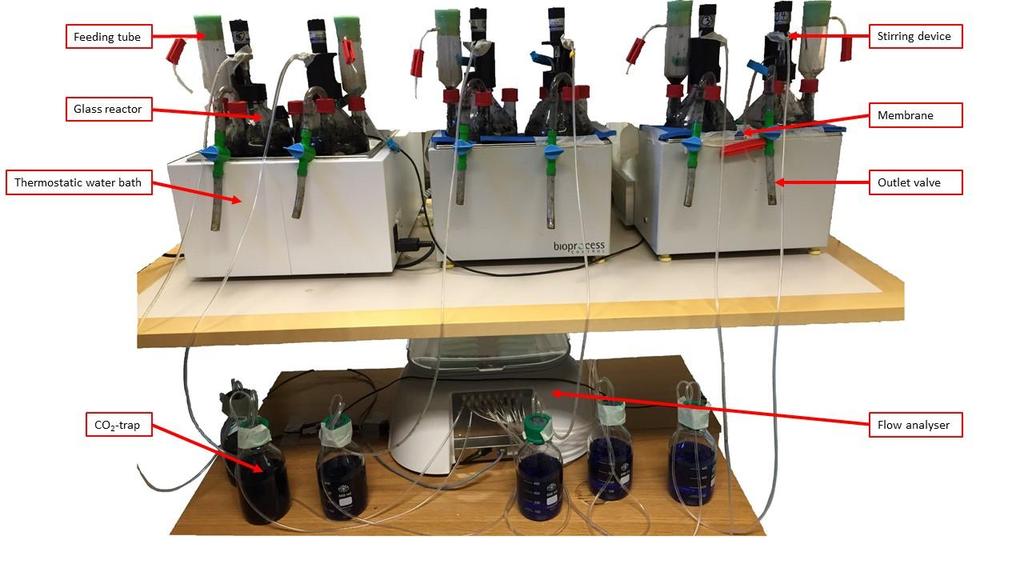 Figure 7 Laboratory scale process set up. 2.2.1 Start up Firstly, the gas analyser was tested by passing a known volume of gas into the six cells that were to be used.