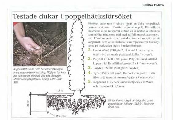 Rotspärr utmed äldre poppelhäck, så gjordes försöket 1 försöket användes material med måtten 2 x 1 m. Dukarna var placerades i ett 38 m långt dike 1,5 m från poppelhäcken.