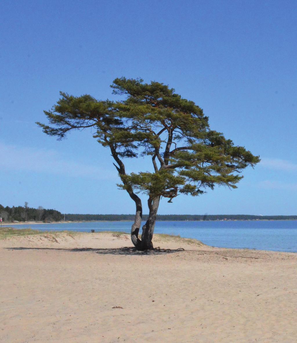 Fredag 9 augusti Turen går till Åhus