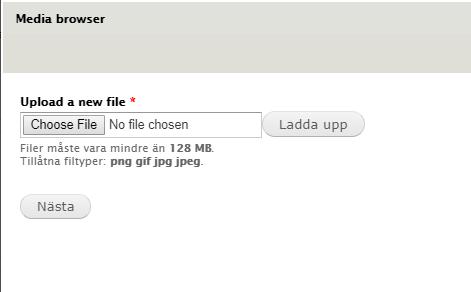 Ladda upp din bild så här: klicka choose file / klicka ladda upp / klicka nästa. Namn: syftar på vad bilden heter. Description: är bildtexten.