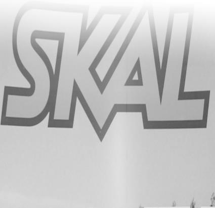 SKAL bildar ett riksomfattande nätverk tillsammans med sina medlemsföreningar Regionala föreningar Södra Finlands