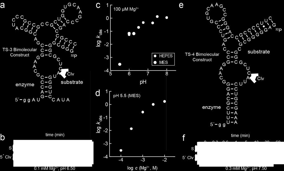 Supplementary Figure 8 Kinetic analyses of the bimolecular constructs TS-3 (environmental sequence, accession SRS013951_WUGC_scaffold_60933, nucleotides 2461 to 2542) and TS-4 (environmental