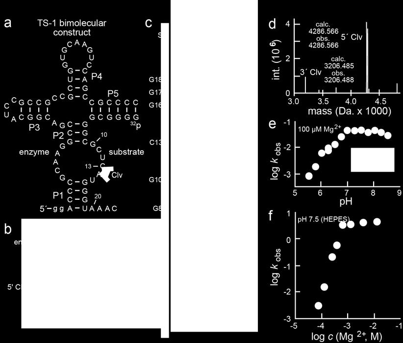 The data shown are identical to those in Figure 2, except