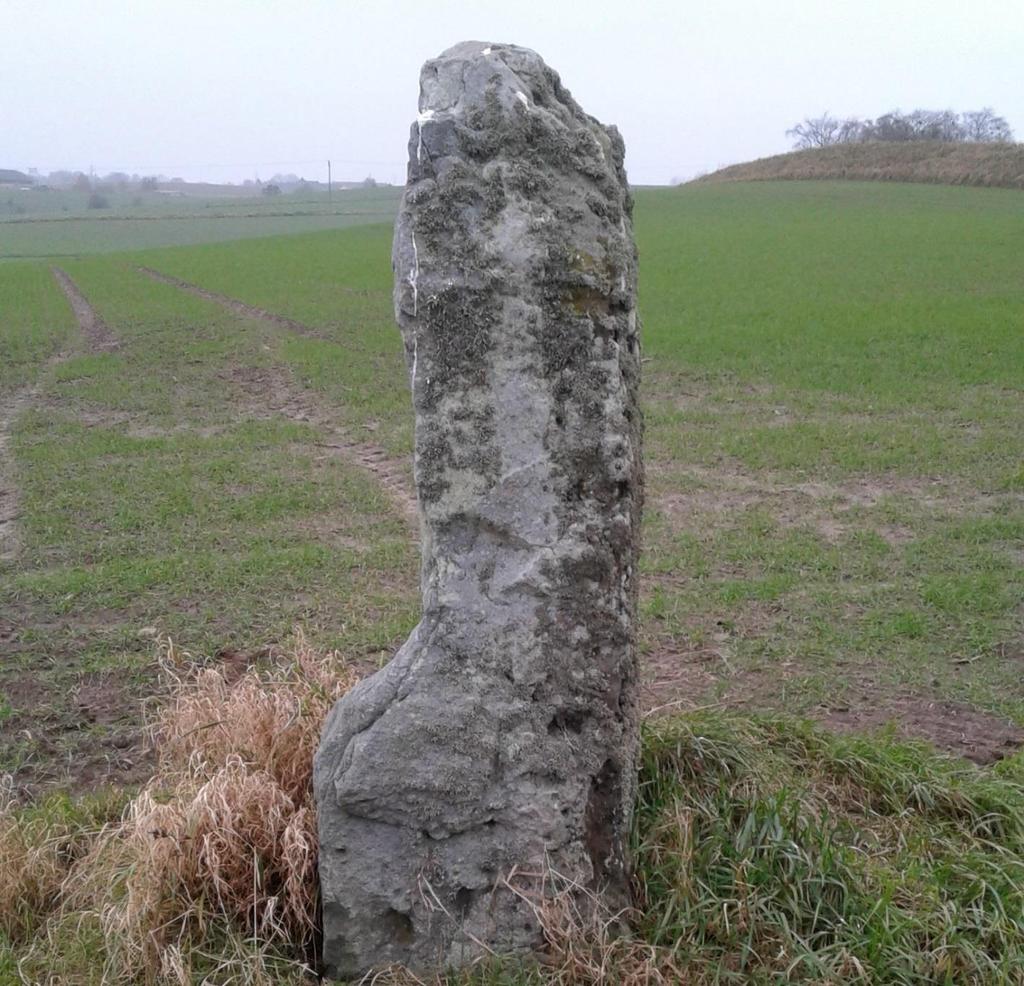 18. Pittjestenen utanför Gröstorp (RAÄ 43:1) Pittjestenen Foto: Göran Tuesson En säreget formad sten av granit restes under järnåldern. Idag står den mitt ute i odlad mark.