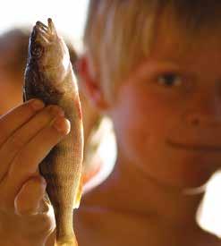 Du kan köpa fiskekort och få ytterligare information och kartor på turistbyrån eller via websidan ifiske.