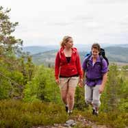 En hängbro tar dig över forsen, eldstad finns vid västra brofästet. E: Walking route with many fine nature sceneries, like the white water rapids of Fämtfallet with a 60 m. deep canyon.