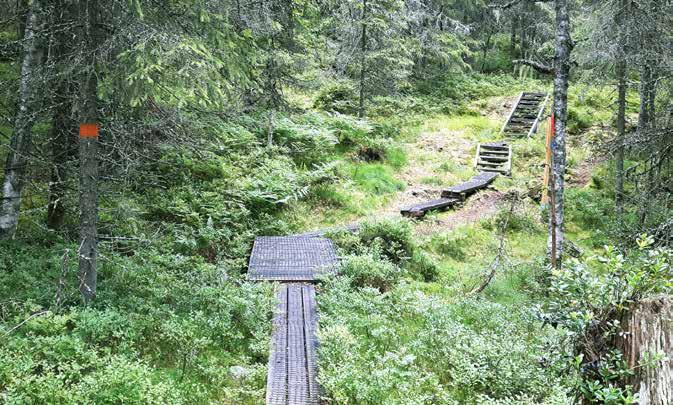 Vom Fluss Klarälven hinauf nach Gravolssätern, wo es Übernachtungsmöglichkeiten in Hütten gibt. Finnskogsleden, 240 km finnskogleden.com En vandring i gränslandet mellan Sverige och Norge.