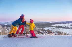 Vinter ALPINE SKIING / SKI ALPIN ALPIN SKIDÅKNING Vintern är en härlig tid.