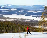 se SNÖSKOVANDRING Snow-shoe walking tours/ Schneeschuhtrekking Gammelbyn, Rattsjöberg Tel 0560-302 70 gammelbyn.