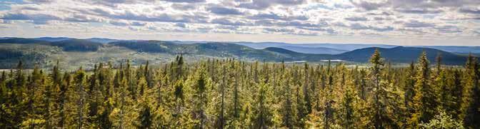 NATURRESERVAT I Torsby kommun finns 60-talet naturreservat med vacker natur. En del har fina vandringsleder och utsiktspunkter. E: In Torsby there are about 60 nature reserves with beautiful nature.