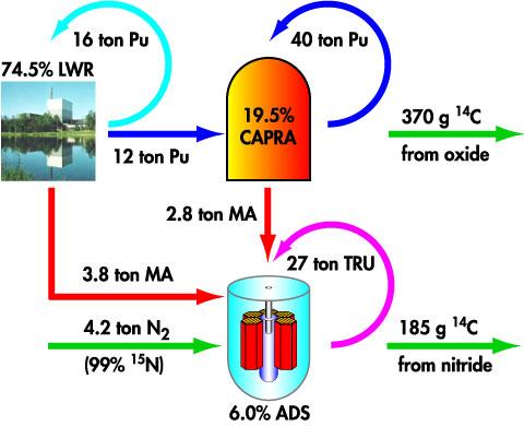 NITRIDES VERSUS OXIDES With 6.6 tons of Minor Actinides to be managed by accelerator driven systems (see Figure 1), 28 of the above ADS cores would be present in the 1000 TWhe park.