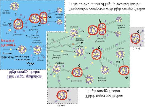 Figure 4: Spallation processes [4] Throughout the ADS operation fuel composition constantly changes as heavy nuclei fission into lighter ones and neutrons are captured by nuclei.