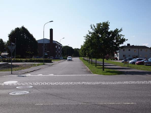 Gräsytor och lägre vetegation finns i anslutning till områdets flerbostadshus samt som remsor längs gång och cykelstråk.