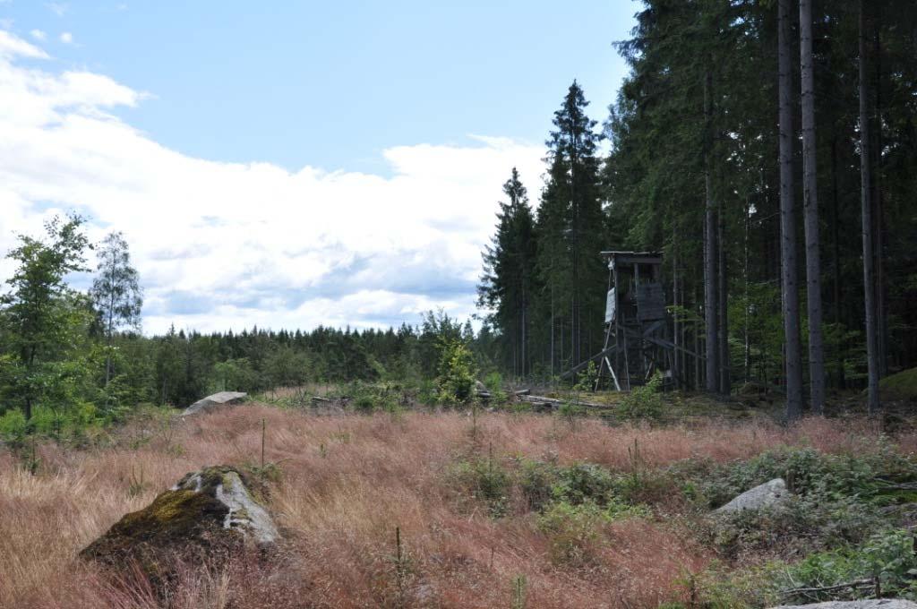 Bromölla Sonarp 1:10, 1:14, 2:12, 8:2 Skog Fastigheten består av 87,1 ha produktiv skogsmark bestående av 81 % gran och 9 % bok enligt nyupprättad skogsbruksplan av Bokskog AB, Mats Rufelt.
