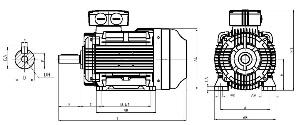 BUSCK Dimensions Type WE - Cast iron Type Feet Shaft General KK WE A B B1 C H K D E F G DH AA AB BB L HA AC HD mm 160M 254 210 108 160 15 42 110 12 37 M16 65 315 260 614 20 315 409 2xM40 160L 254 254