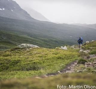 Dagsetapperna är mellan 12 och 16 kilometer och passerar genom barr- och fjällbjörkskog med tjärnar, vattendrag, myrar och blomsterängar. Bitvis når leden upp till trädgränsen.