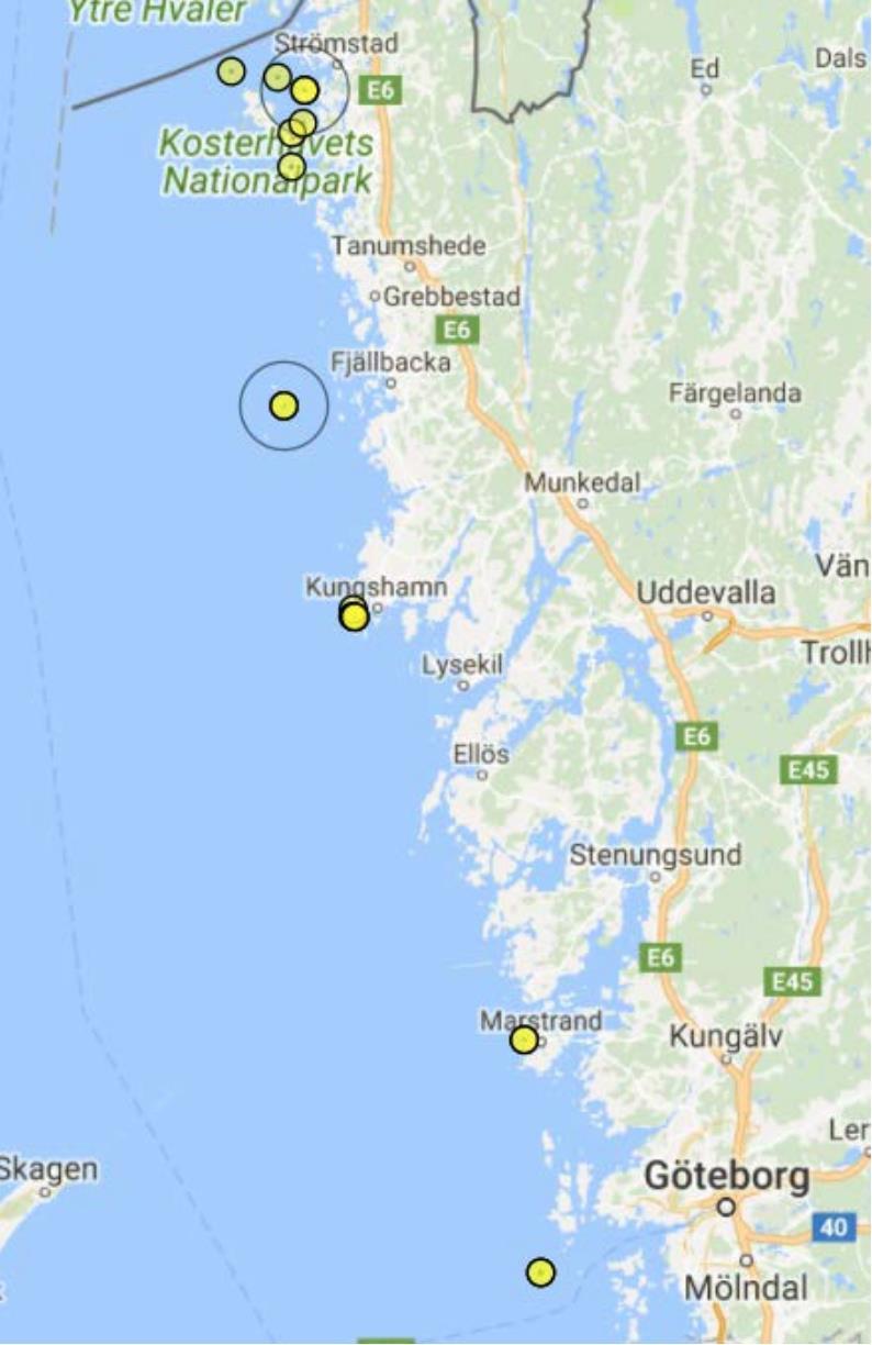 Marint faunaväkteri pilot 2017 Av 28 efterfra gade arter inkom rapporter pa 14 I