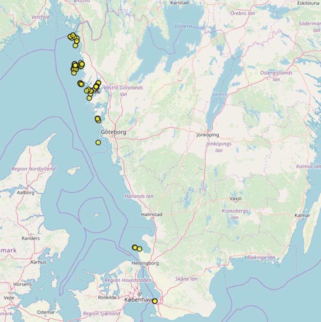 Marint faunaväkteri 2018 1891