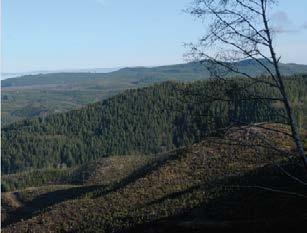 L&C TIMBERLANDS, OREGON, USA År 2017 förvärvade Elo en andel om 66 tusen hektar skog vid Stilla havets kustområde.