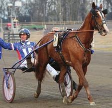 STARTANMÄLNINGAR FEBRUARI 20 måndag 21 tisdag 22 onsdag 23 torsdag 24 fredag 25 lördag 26 söndag Gävle (V75), Romme, Solvalla Axevalla, Färjestad Bollnäs, Jägersro Bergsåker, Halmstad, Solvalla Åby