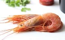 3-5 kg/st Vietnam 02521 25 kg/krt 165 00 kr/kg GAMBAS