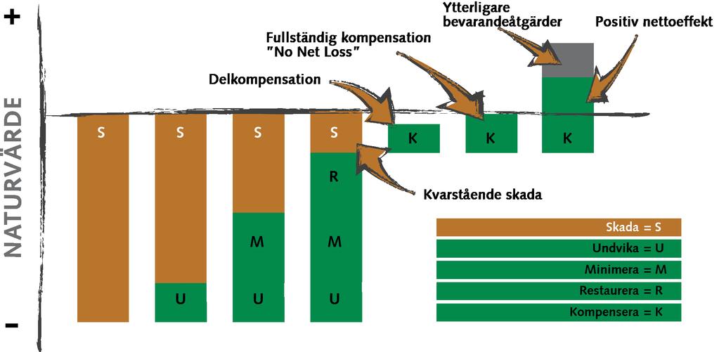 Mål och strategier Denna strategi bygger på tre målområden; att följa hänsynshierarkin, kunskap om och resurser för biologisk mångfald samt samverkan med vår