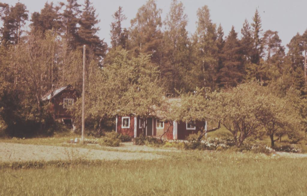 Katrineberg, torp under Stav Lilla Katrineberg och källarstugan på 60-talet. Foto Göte Ekström. Torpet har i äldre tider kallats Katrinelund.