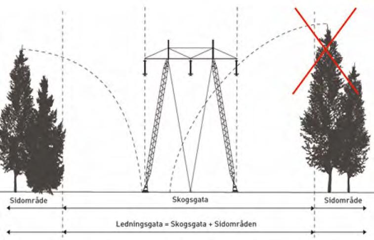 19 5.2.3 Ledningsgata och markbehov Området invid en kraftledning kallas ledningsgata.