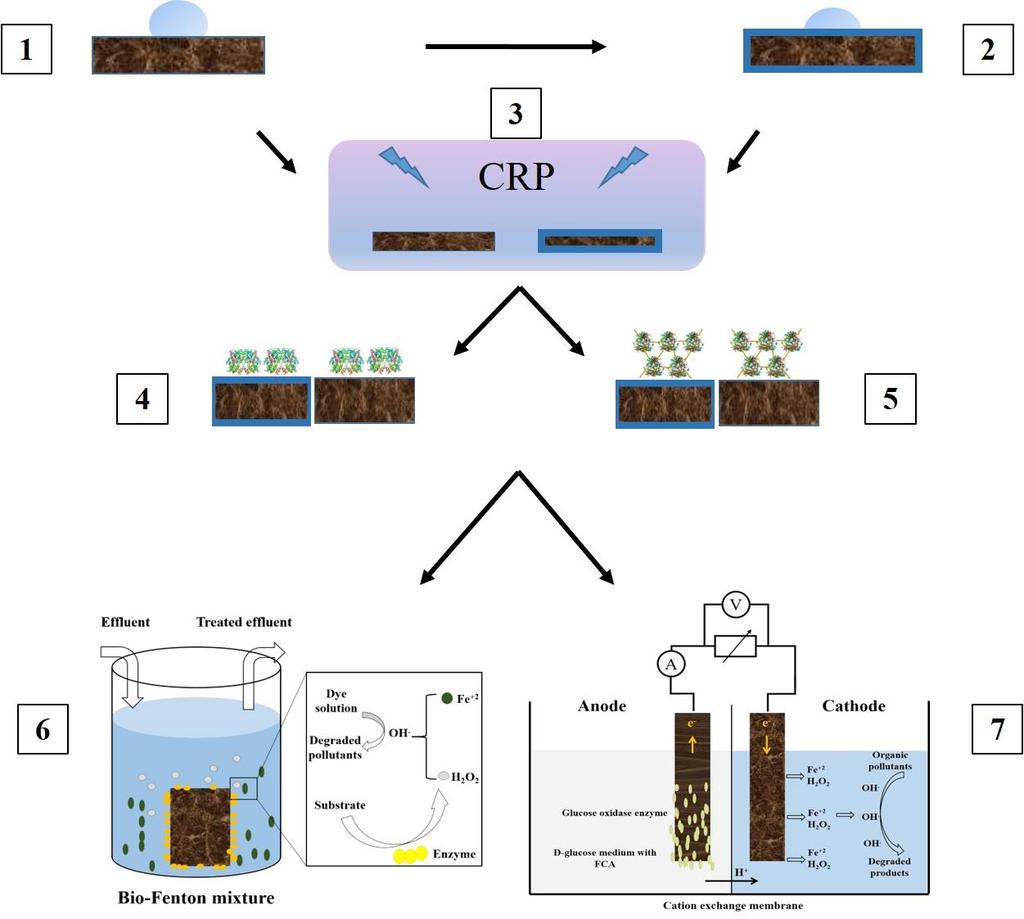 3- Dry pretreatment with Cold Remote Plasma (CRP) for both types of samples to improve surface characteristics. 4- Immobilization of redox enzyme via physical adsorption on carbon-based felts.
