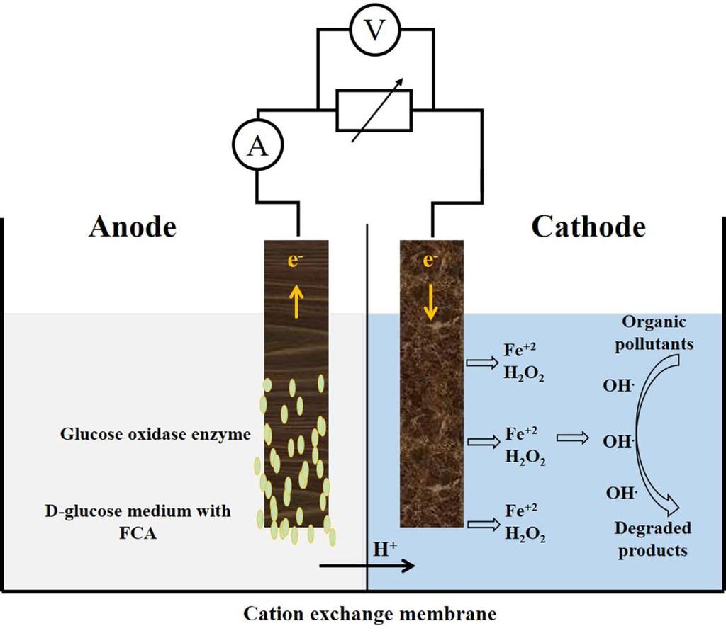 I- B- 3- Bio-electro-Fenton (BEF) using bio-anodes This method is a result of modified electro-fenton setup for wastewater treatment (see 1- B- 1).
