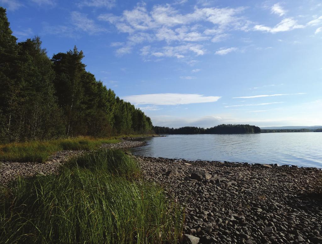 Storvuxen vandringsöring I Siljan och Orsasjön och i dessas tillrinningsområden finns en stam av storvuxen vandringsöring som är nationellt intressant att bevara.