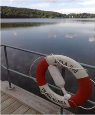 Gemensamma aktiviteter Styrelsen försöker anordna några aktiviteter varje år för alla medlemmar.