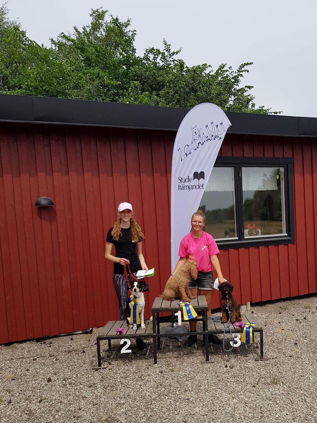 Agility Under 2018 har klubben arrangerat två kurser i agility, en nybörjarkurs och en tävlingskurs som båda hölls på vårterminen.