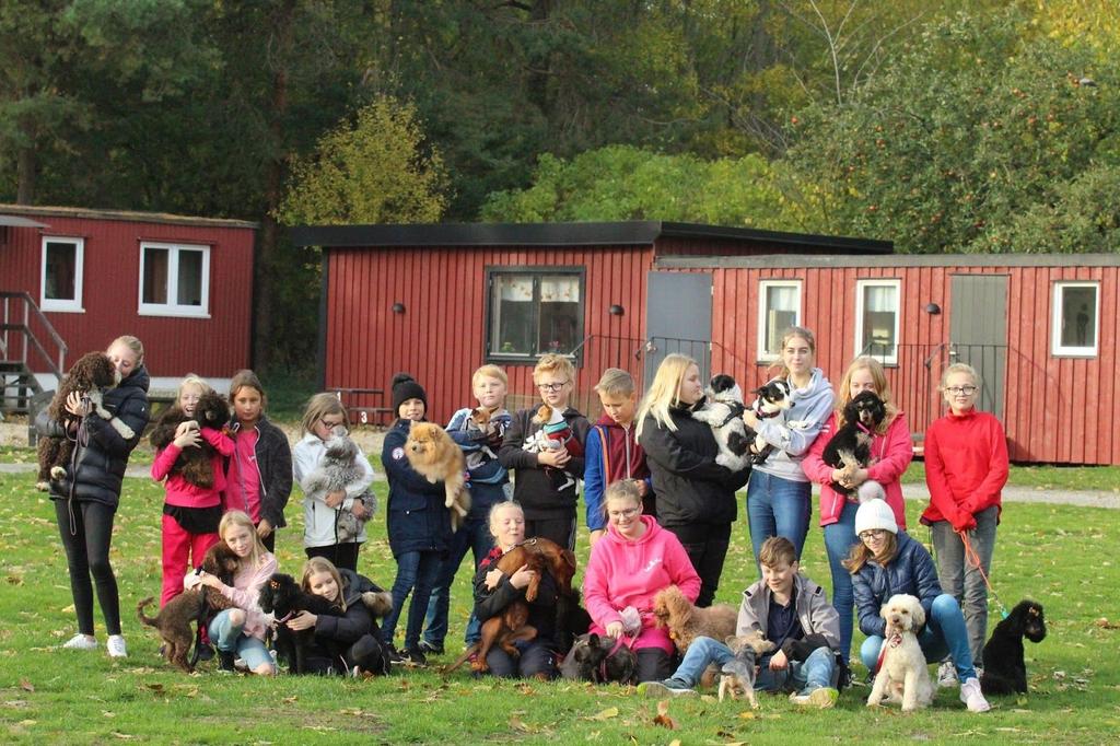 Läger Enligt medlemmarnas önskemål om ännu ett läger anordnade klubben ett höstläger den 1-2 november. Två dagar fylldes med agility, lydnad, hundhalsbands-workshop och rallylydnad.