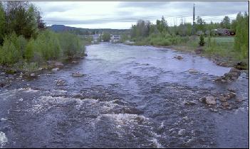 The purpose of this question is to shed some light on how the average citizen of Bollnäs values a potential change of the water flow in the Bollnäs streams.