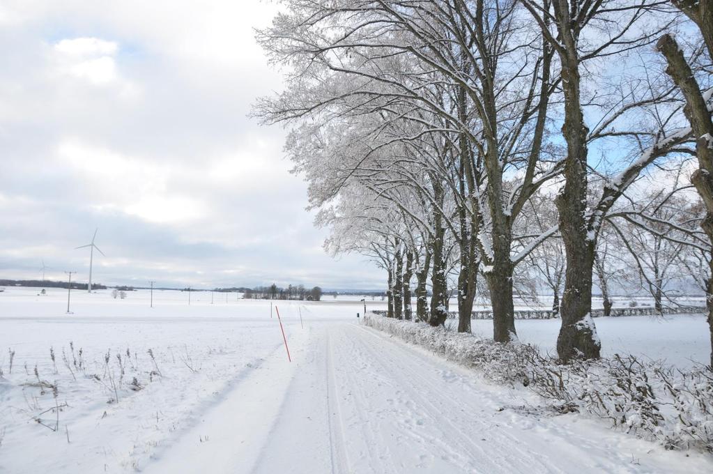 Snö i december, delvis barmark