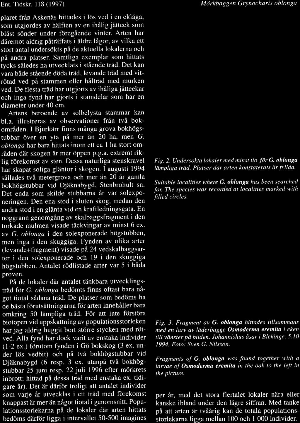 Ent. Tidskr. 118 (1997) plaret frfln Askeniis hittades i l6s ved i en liga, som utgjordes av hiilften av en ihilig jiitte som blist srinder under fciregflende vinter.