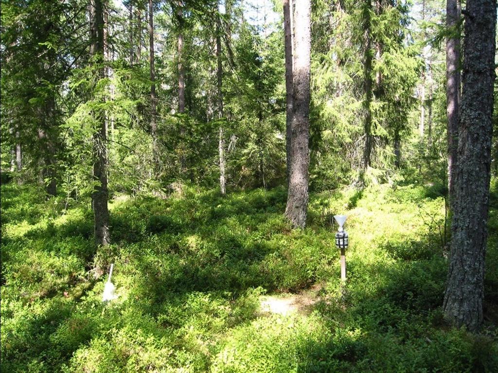 Humlered (P 93) Yta med tallskog, planterad 1948. Ytan ligger på plan mark på ett sediment (grovmo). Jordmånen är podsol.