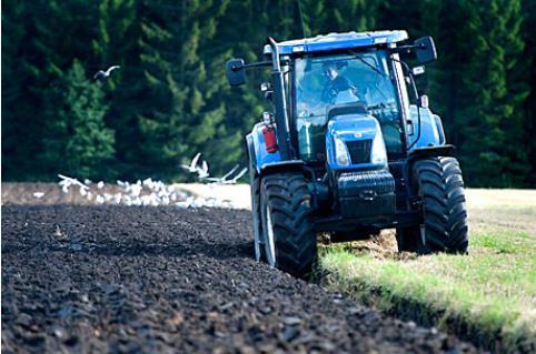 Vad kan vi göra? Kväve och fosfor Mineralgödsel Anpassa givan till: förfrukt, skörd, stallgödsel, erfarenhet Anpassa efter årsmån under säsong, titta, mäta Ändra växtföljd, t.ex.